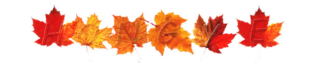 Hongye home header